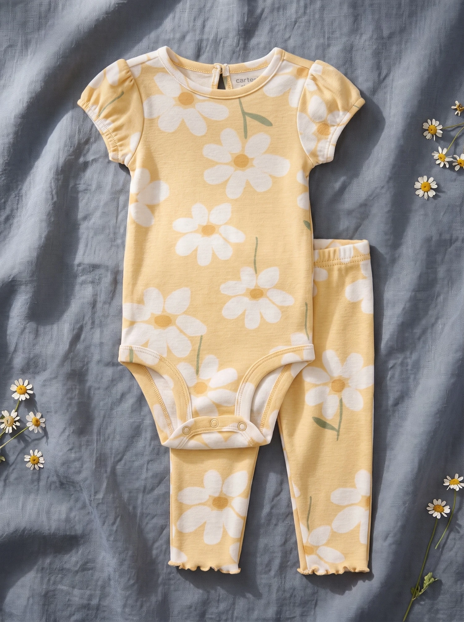 Conjunto amarillo de margaritas